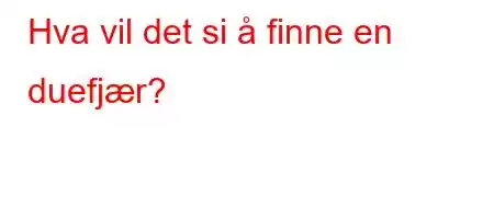 Hva vil det si å finne en duefjær