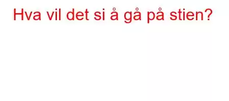 Hva vil det si å gå på stien?