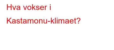 Hva vokser i Kastamonu-klimaet?