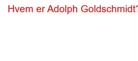 Hvem er Adolph Goldschmidt