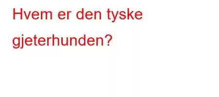 Hvem er den tyske gjeterhunden?