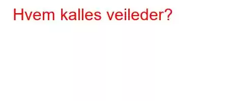 Hvem kalles veileder