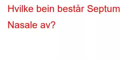 Hvilke bein består Septum Nasale av?