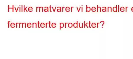 Hvilke matvarer vi behandler er fermenterte produkter