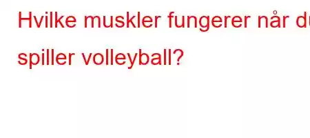 Hvilke muskler fungerer når du spiller volleyball