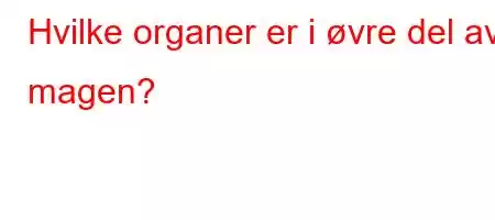 Hvilke organer er i øvre del av magen