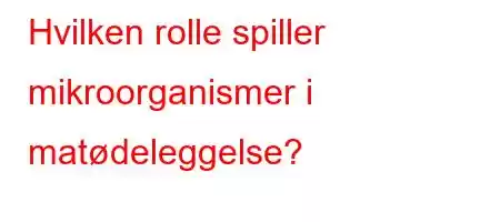 Hvilken rolle spiller mikroorganismer i matødeleggelse?