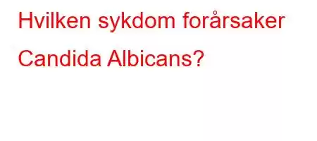 Hvilken sykdom forårsaker Candida Albicans?