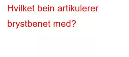 Hvilket bein artikulerer brystbenet med?