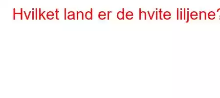 Hvilket land er de hvite liljene