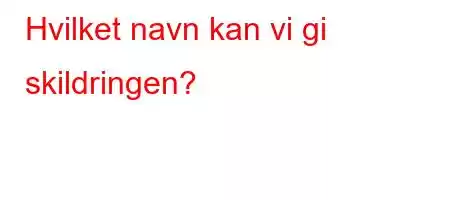 Hvilket navn kan vi gi skildringen?