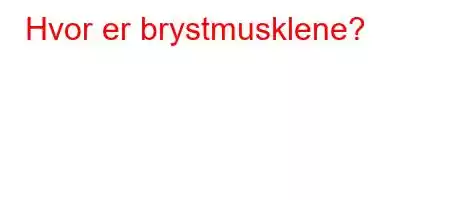 Hvor er brystmusklene?