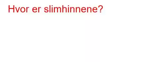 Hvor er slimhinnene?