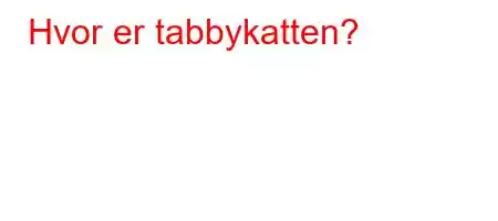 Hvor er tabbykatten?