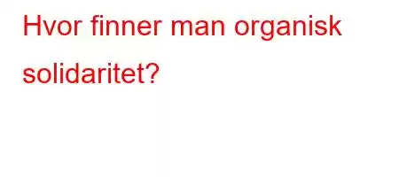 Hvor finner man organisk solidaritet?