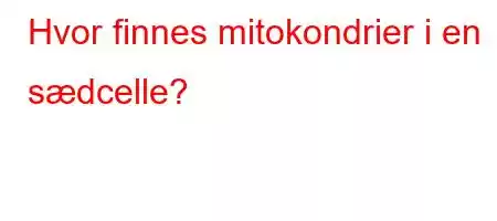 Hvor finnes mitokondrier i en sædcelle?