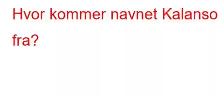 Hvor kommer navnet Kalanso fra?