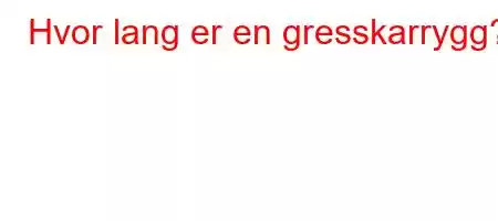 Hvor lang er en gresskarrygg?