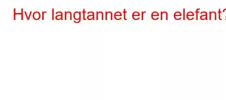 Hvor langtannet er en elefant