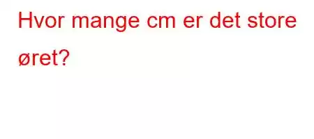 Hvor mange cm er det store øret