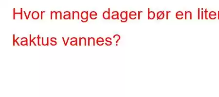 Hvor mange dager bør en liten kaktus vannes