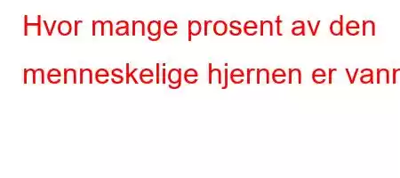 Hvor mange prosent av den menneskelige hjernen er vann?