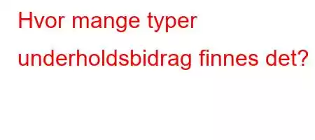 Hvor mange typer underholdsbidrag finnes det