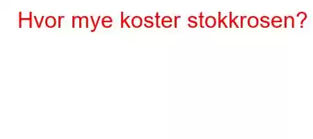 Hvor mye koster stokkrosen