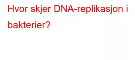 Hvor skjer DNA-replikasjon i bakterier