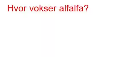 Hvor vokser alfalfa?