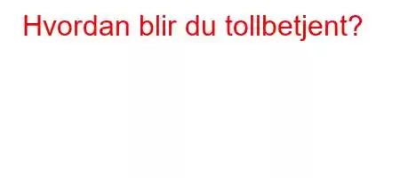 Hvordan blir du tollbetjent?