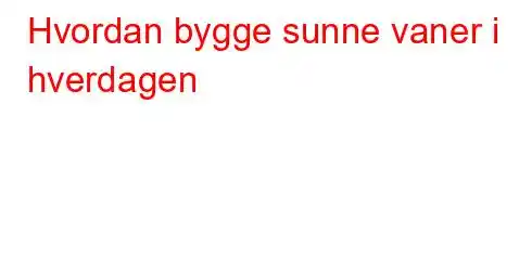 Hvordan bygge sunne vaner i hverdagen