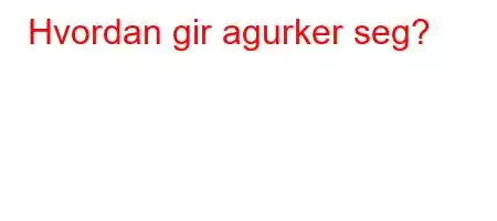 Hvordan gir agurker seg