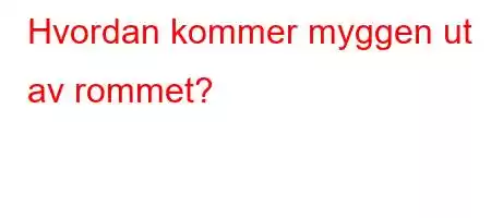 Hvordan kommer myggen ut av rommet?