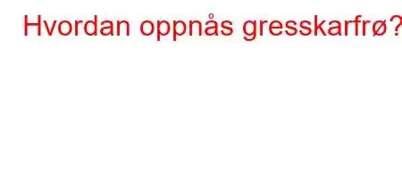 Hvordan oppnås gresskarfrø?