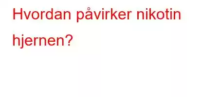 Hvordan påvirker nikotin hjernen?