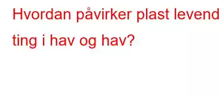 Hvordan påvirker plast levende ting i hav og hav?