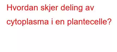 Hvordan skjer deling av cytoplasma i en plantecelle?