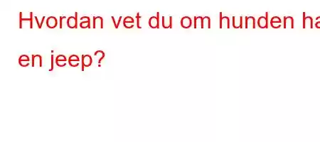 Hvordan vet du om hunden har en jeep?