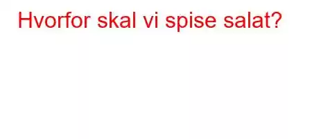 Hvorfor skal vi spise salat?