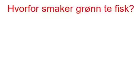 Hvorfor smaker grønn te fisk