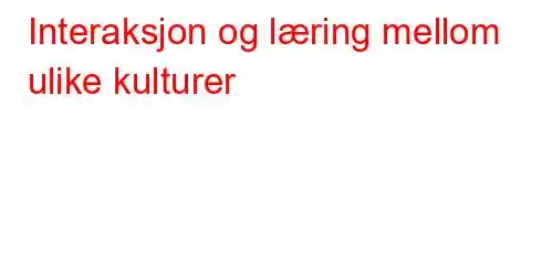 Interaksjon og læring mellom ulike kulturer