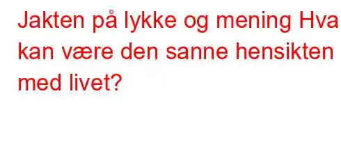 Jakten på lykke og mening Hva kan være den sanne hensikten med livet?