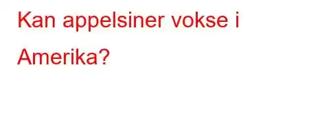 Kan appelsiner vokse i Amerika?