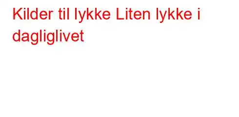 Kilder til lykke Liten lykke i dagliglivet