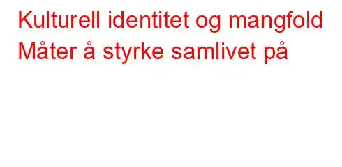 Kulturell identitet og mangfold Måter å styrke samlivet på