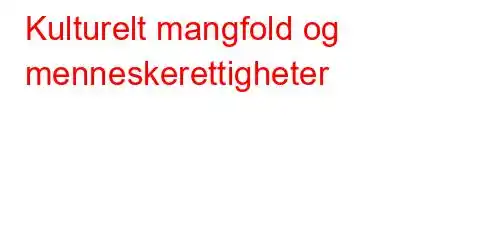 Kulturelt mangfold og menneskerettigheter