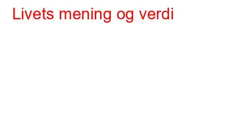 Livets mening og verdi