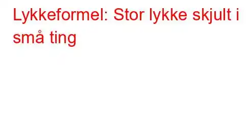 Lykkeformel: Stor lykke skjult i små ting