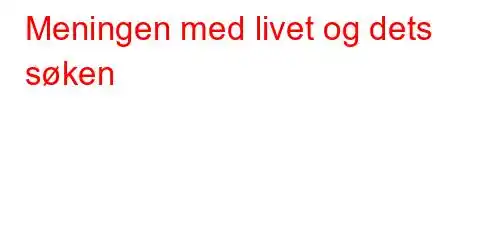 Meningen med livet og dets søken